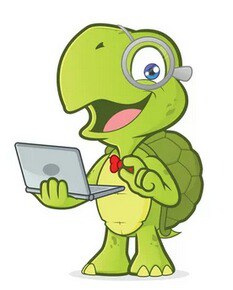 Turtle with a laptop
