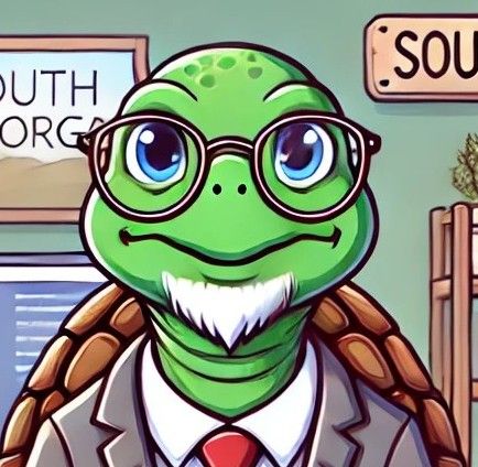 wise turtle